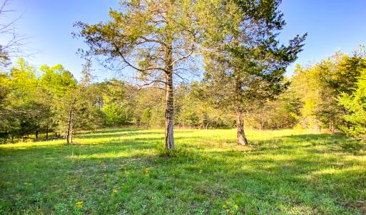 Photo #34 of SOLD property in 1094 Gardners Road, Mineral, VA 23.7 acres