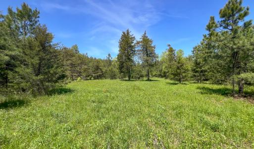 Photo #36 of SOLD property in 1094 Gardners Road, Mineral, VA 23.7 acres