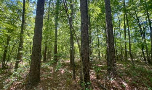 Photo #38 of SOLD property in 1094 Gardners Road, Mineral, VA 23.7 acres