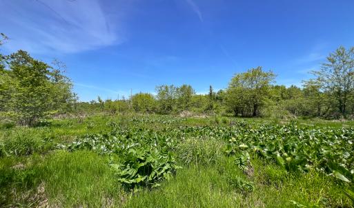 Photo #40 of SOLD property in 1094 Gardners Road, Mineral, VA 23.7 acres