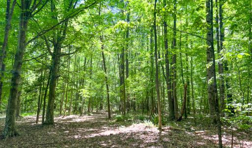 Photo #42 of SOLD property in 1094 Gardners Road, Mineral, VA 23.7 acres