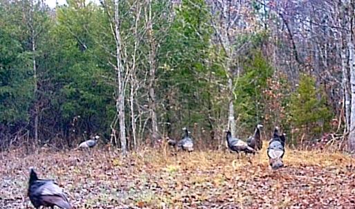 Photo #44 of SOLD property in 1094 Gardners Road, Mineral, VA 23.7 acres