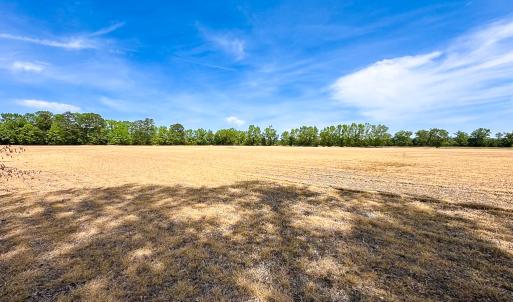 Photo #4 of Off West Rd, Chesapeake, VA 36.0 acres