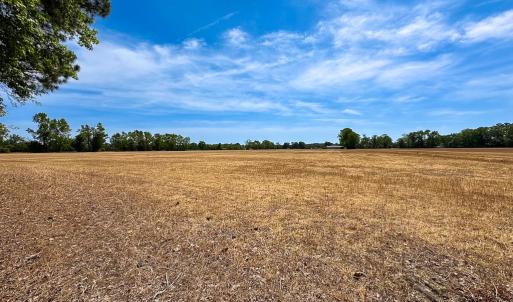 Photo #5 of Off West Rd, Chesapeake, VA 36.0 acres
