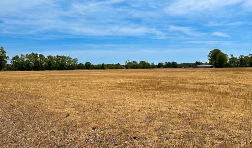Photo #8 of Off West Rd, Chesapeake, VA 36.0 acres