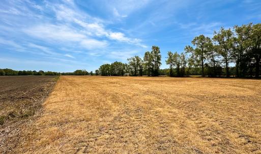 Photo #12 of Off West Rd, Chesapeake, VA 36.0 acres