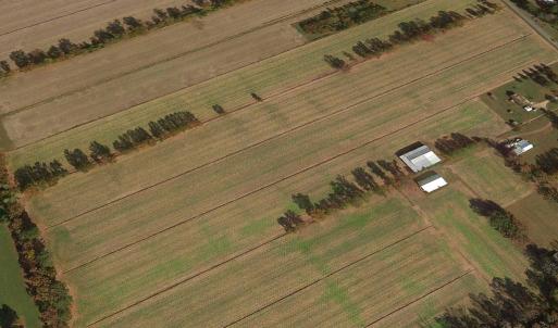 Photo #14 of Off West Rd, Chesapeake, VA 36.0 acres