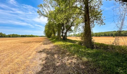Photo #15 of Off West Rd, Chesapeake, VA 36.0 acres