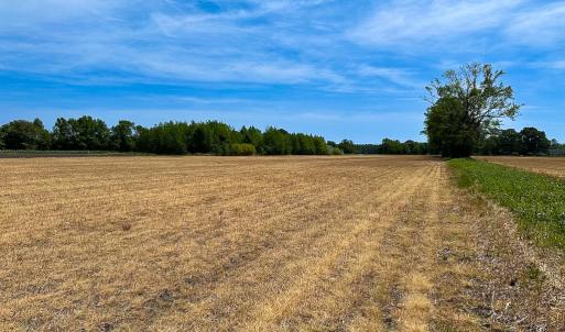 Photo #19 of Off West Rd, Chesapeake, VA 36.0 acres