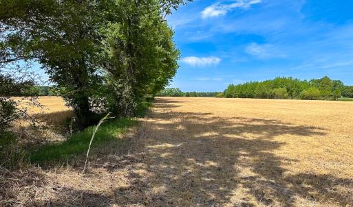 Photo #26 of Off West Rd, Chesapeake, VA 36.0 acres