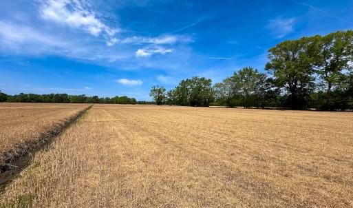 Photo #29 of Off West Rd, Chesapeake, VA 36.0 acres