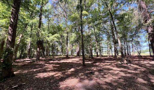Photo #11 of Lot 70 Winfield Lane, Pinetown, NC 1.7 acres