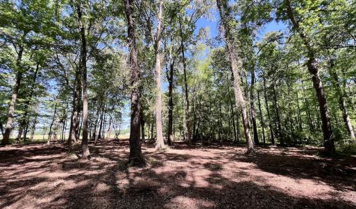 Photo #12 of Lot 70 Winfield Lane, Pinetown, NC 1.7 acres