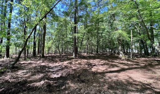 Photo #13 of Lot 70 Winfield Lane, Pinetown, NC 1.7 acres