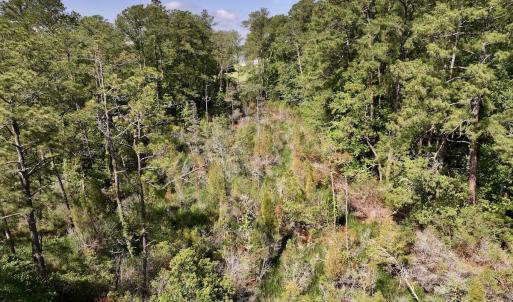 Photo #15 of Lot 70 Winfield Lane, Pinetown, NC 1.7 acres