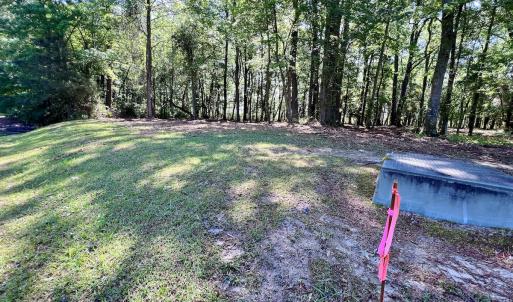 Photo #18 of Lot 70 Winfield Lane, Pinetown, NC 1.7 acres