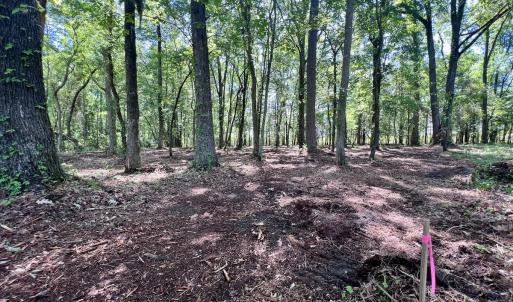 Photo #19 of Lot 70 Winfield Lane, Pinetown, NC 1.7 acres