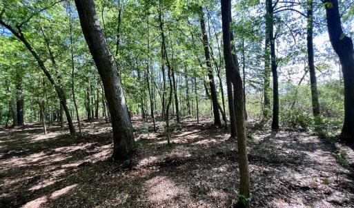 Photo #21 of Lot 70 Winfield Lane, Pinetown, NC 1.7 acres