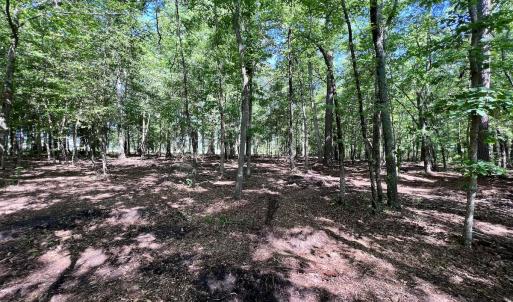 Photo #22 of Lot 70 Winfield Lane, Pinetown, NC 1.7 acres
