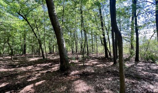 Photo #24 of Lot 70 Winfield Lane, Pinetown, NC 1.7 acres