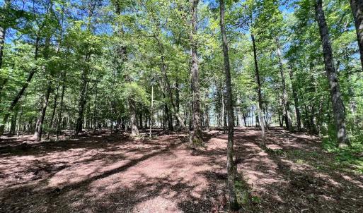 Photo #25 of Lot 70 Winfield Lane, Pinetown, NC 1.7 acres