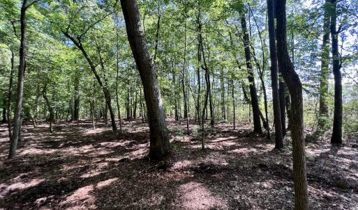 Photo #26 of Lot 70 Winfield Lane, Pinetown, NC 1.7 acres