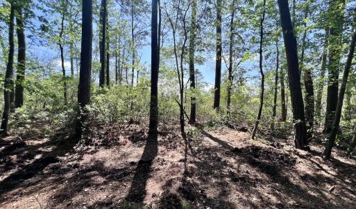 Photo #27 of Lot 70 Winfield Lane, Pinetown, NC 1.7 acres