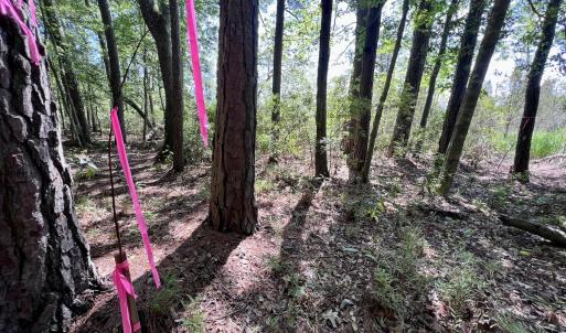 Photo #35 of Lot 70 Winfield Lane, Pinetown, NC 1.7 acres