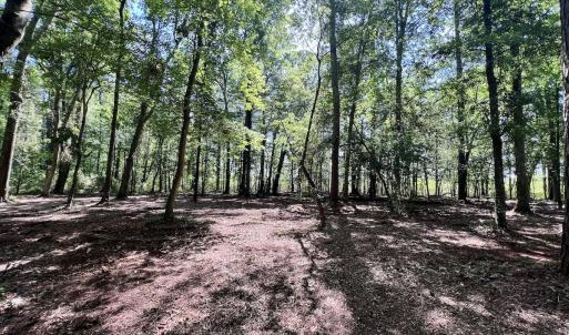 Photo #6 of Lot 70 Winfield Lane, Pinetown, NC 1.7 acres
