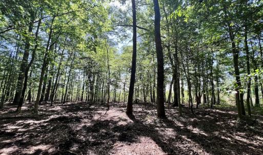 Photo #7 of Lot 70 Winfield Lane, Pinetown, NC 1.7 acres