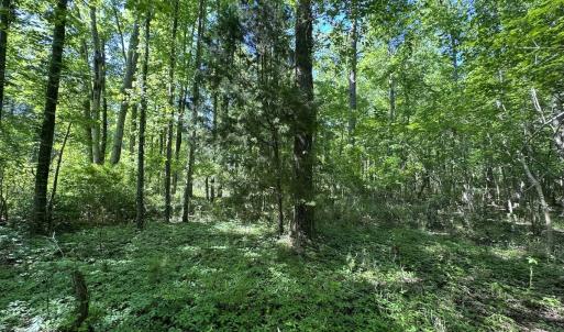 Photo #18 of Off Old County Rd, Belhaven, NC 1.0 acres