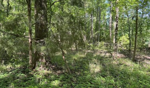 Photo #20 of Off Old County Rd, Belhaven, NC 1.0 acres