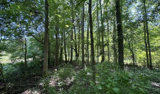 Photo #6 of Off Old County Rd, Belhaven, NC 1.0 acres