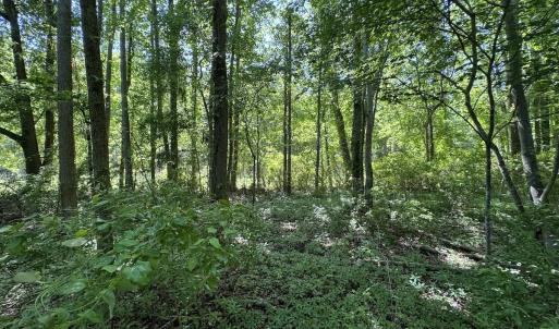 Photo #8 of Off Old County Rd, Belhaven, NC 1.0 acres