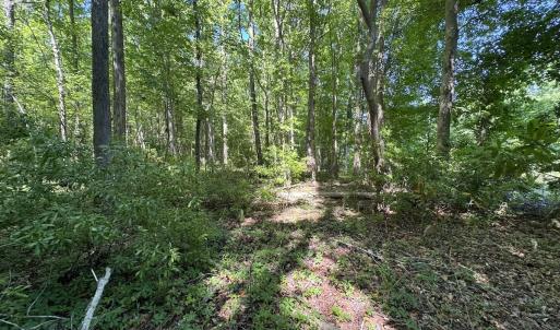 Photo #10 of Off Old County Rd, Belhaven, NC 1.0 acres