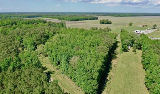 Photo #3 of Off Old County Rd, Belhaven, NC 1.0 acres
