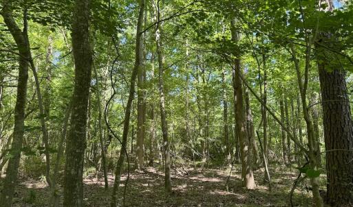Photo #30 of Off Old County Rd, Belhaven, NC 1.0 acres