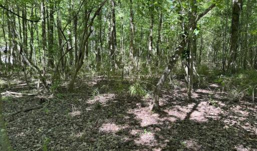 Photo #32 of Off Old County Rd, Belhaven, NC 1.0 acres