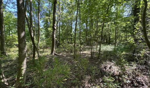 Photo #37 of Off Old County Rd, Belhaven, NC 1.0 acres