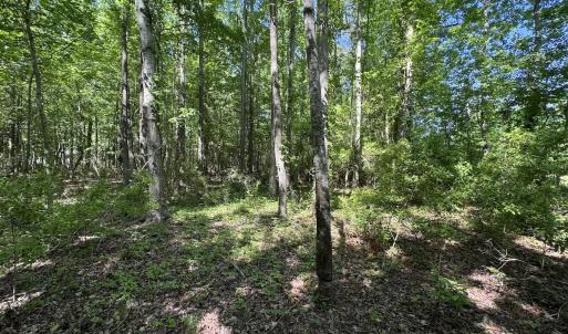 Photo #41 of Off Old County Rd, Belhaven, NC 1.0 acres
