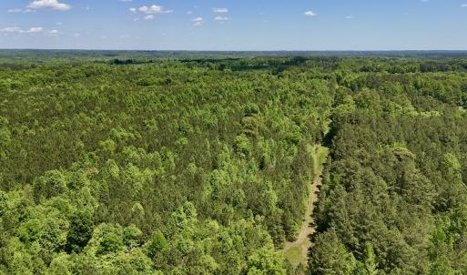 Photo #11 of SOLD property in Off Perry Town Rd, Warrenton, NC 12.9 acres