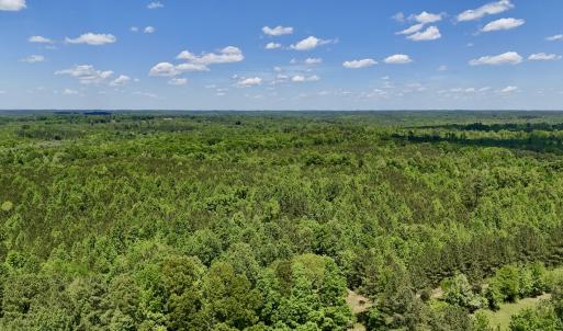 Photo #12 of SOLD property in Off Perry Town Rd, Warrenton, NC 12.9 acres