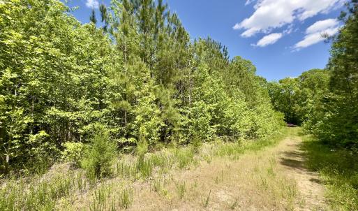 Photo #13 of SOLD property in Off Perry Town Rd, Warrenton, NC 12.9 acres
