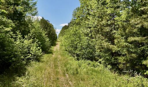Photo #17 of SOLD property in Off Perry Town Rd, Warrenton, NC 12.9 acres
