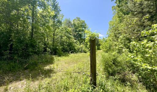 Photo #18 of SOLD property in Off Perry Town Rd, Warrenton, NC 12.9 acres