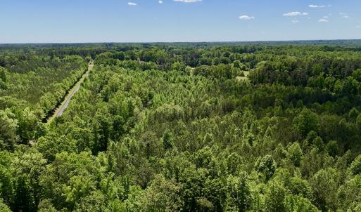 Photo #19 of SOLD property in Off Perry Town Rd, Warrenton, NC 12.9 acres