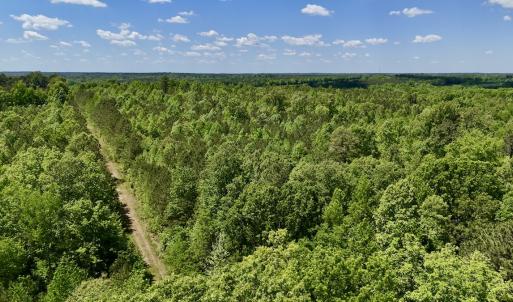 Photo #21 of SOLD property in Off Perry Town Rd, Warrenton, NC 12.9 acres