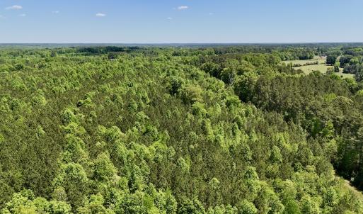 Photo #22 of SOLD property in Off Perry Town Rd, Warrenton, NC 12.9 acres