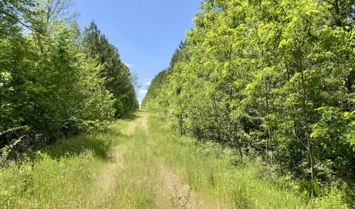 Photo #23 of SOLD property in Off Perry Town Rd, Warrenton, NC 12.9 acres