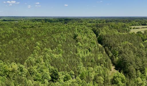 Photo #24 of Off Perry Town Rd, Warrenton, NC 12.9 acres